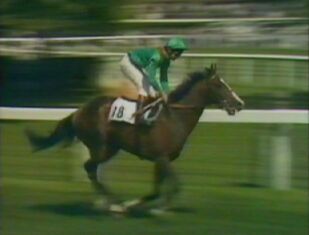 Shergar