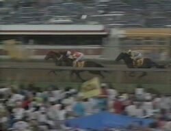 Preakness Stakes