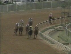 Preakness Stakes