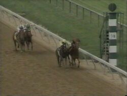 Preakness Stakes