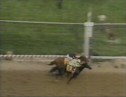 Preakness Stakes